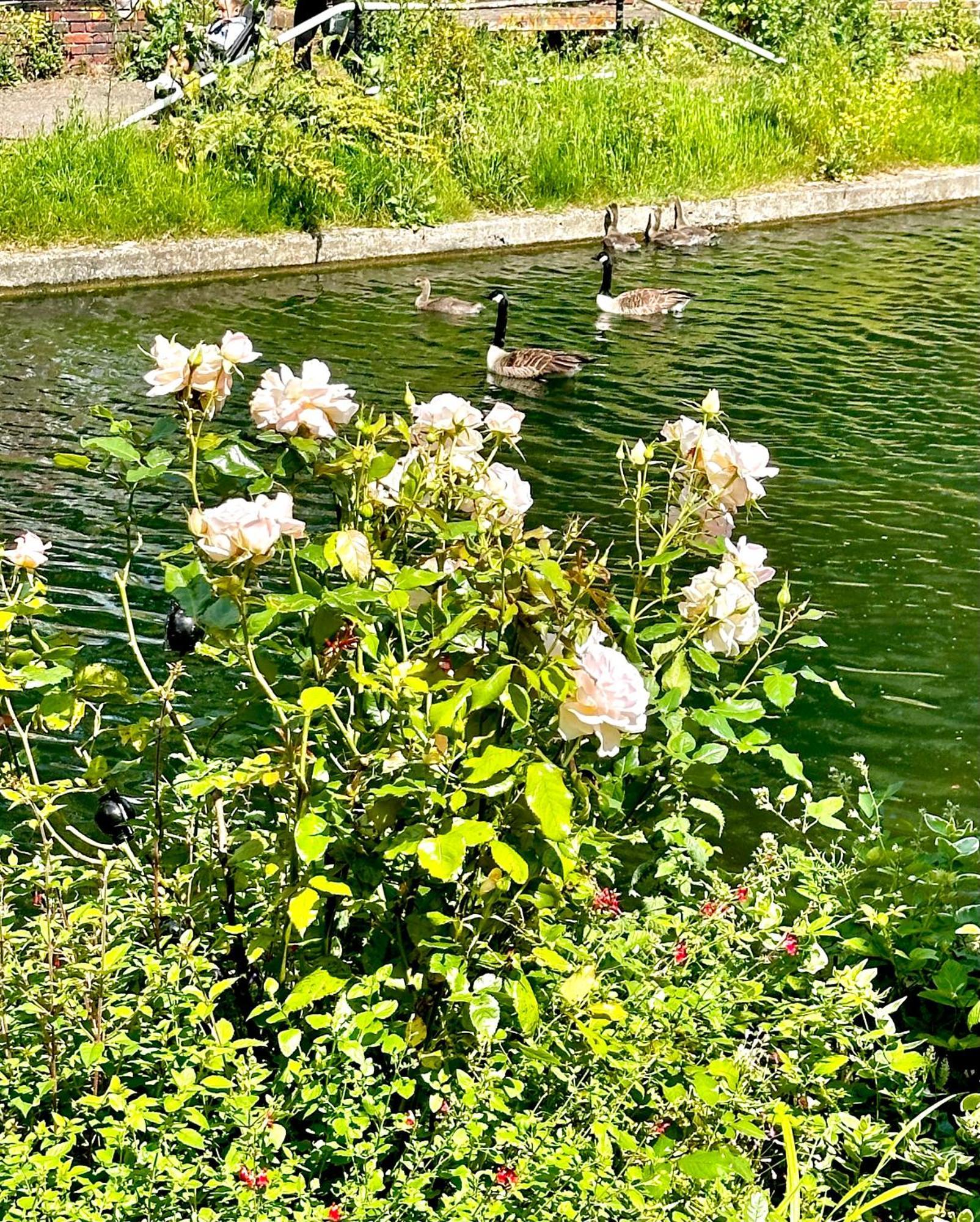 Amazing Location - City Of London- 2 Bedroom Stunning Canal View House With Private Garden,Parking & Balcony Exterior foto
